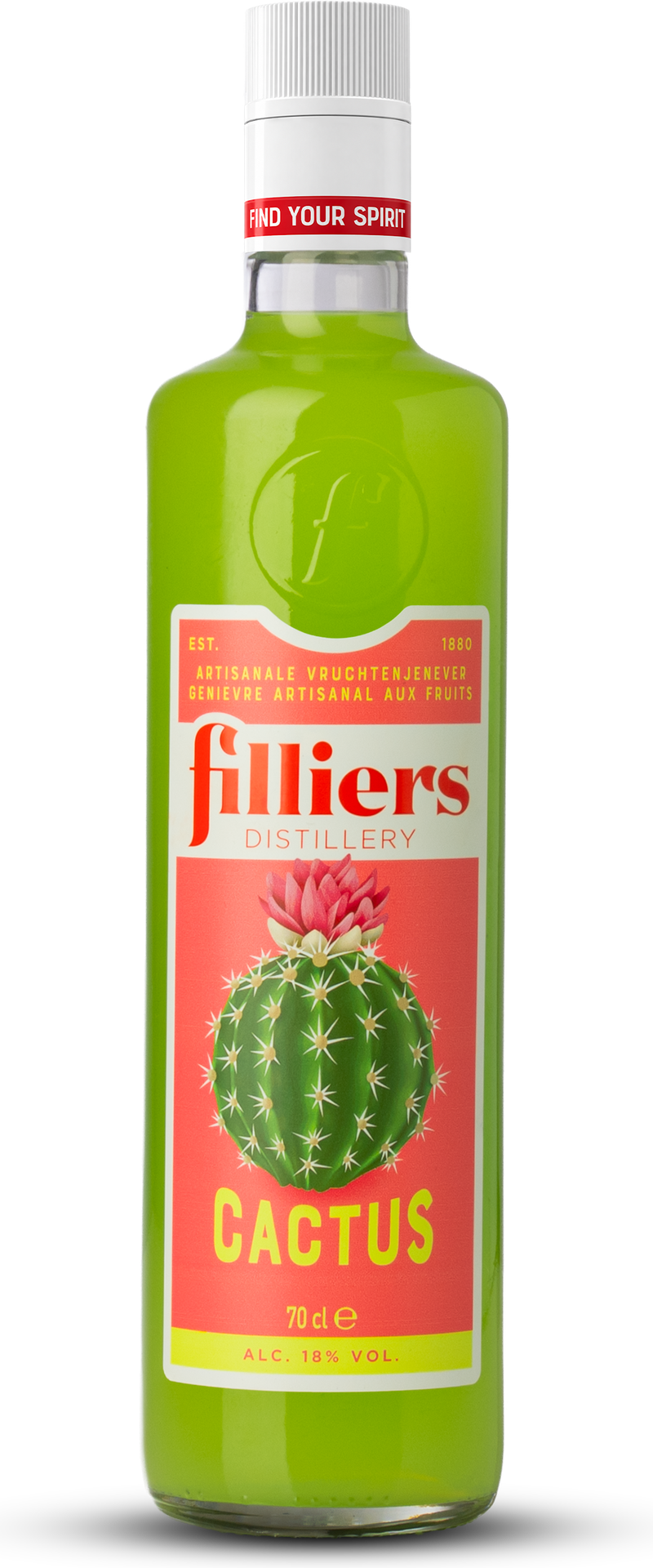 Cactus