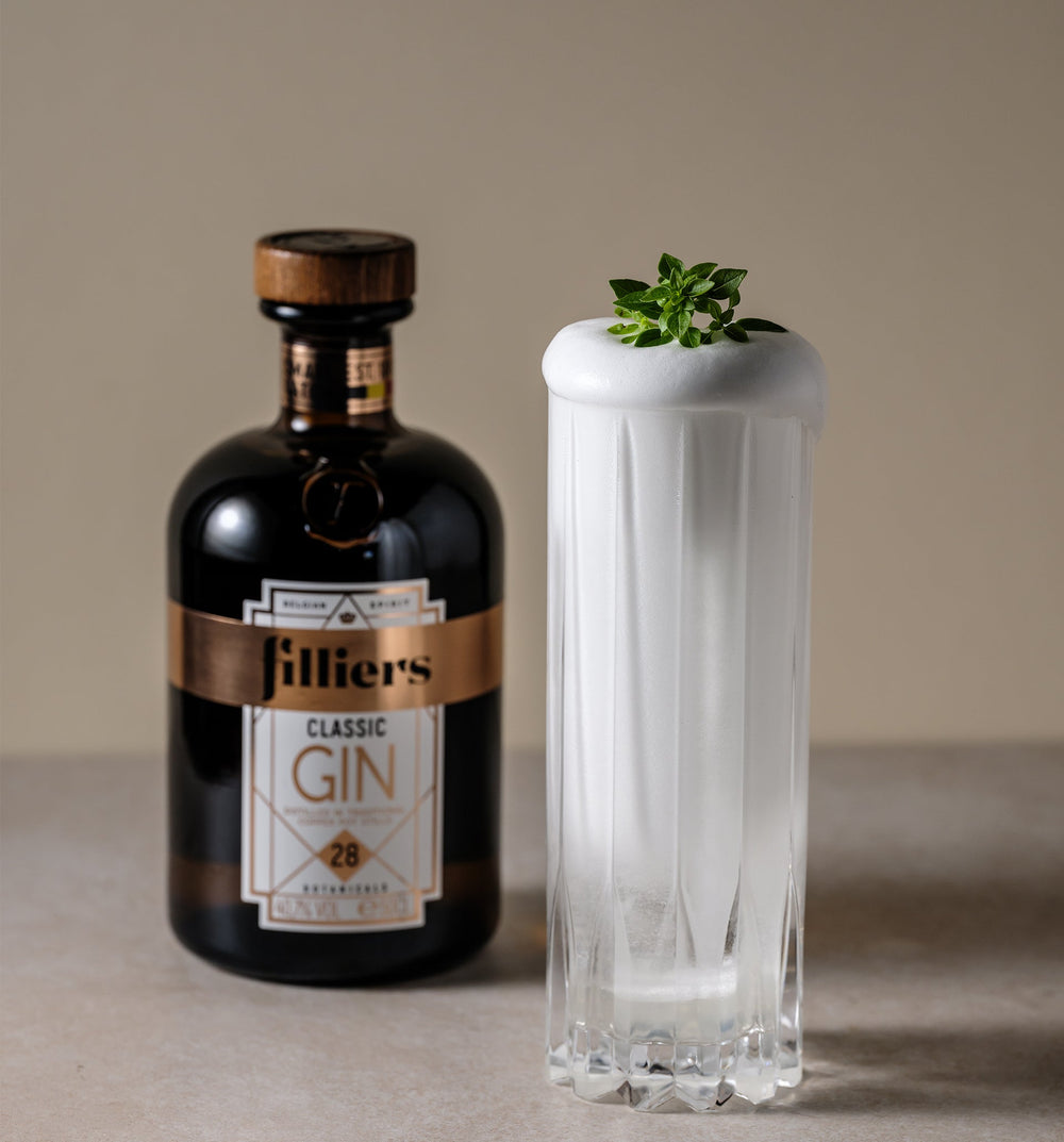 Gin Fizz